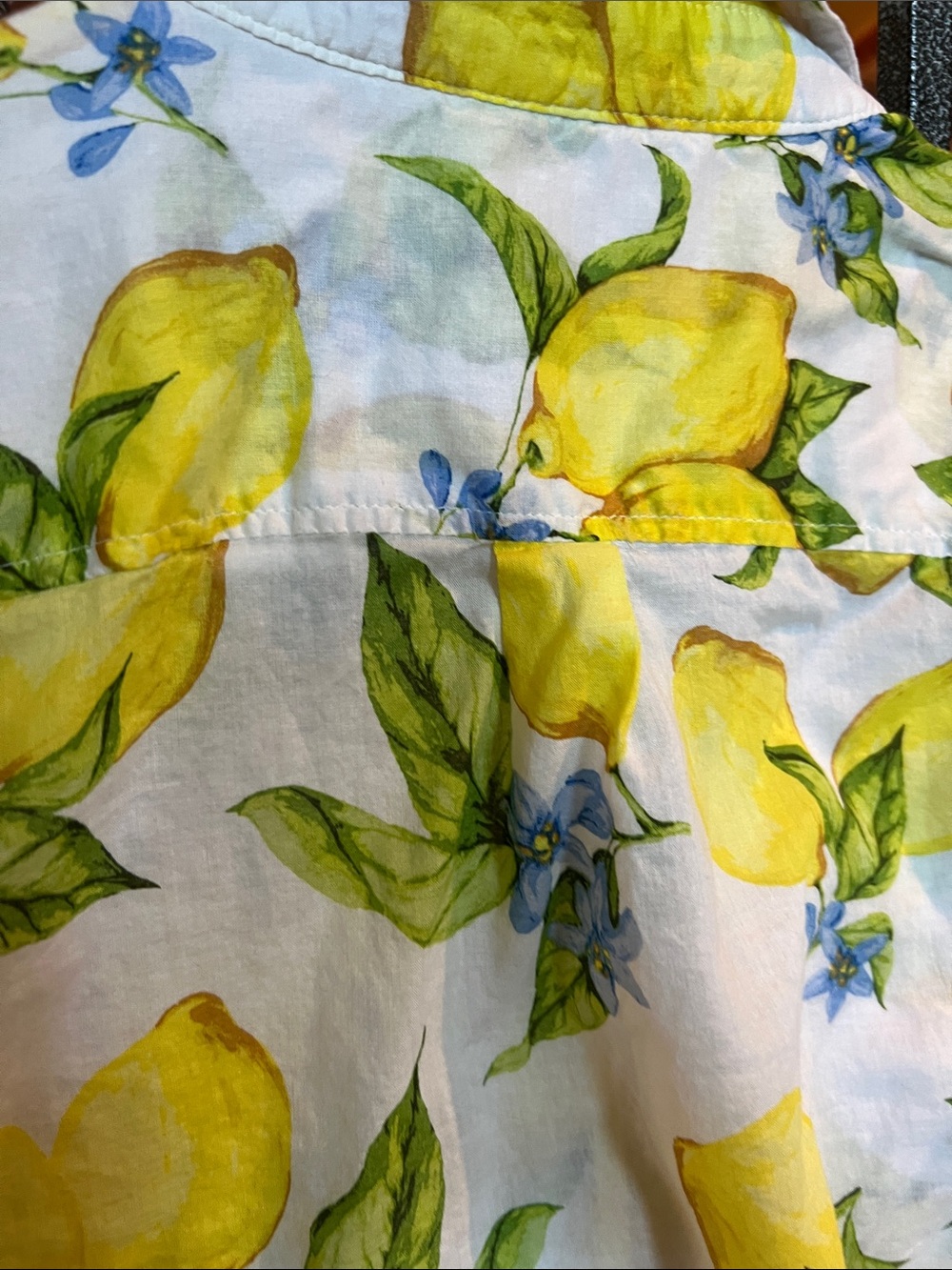 Talbots Women's Lemon Print Button-Front Blouse - White/Yellow/Green - Picture 11 of 11